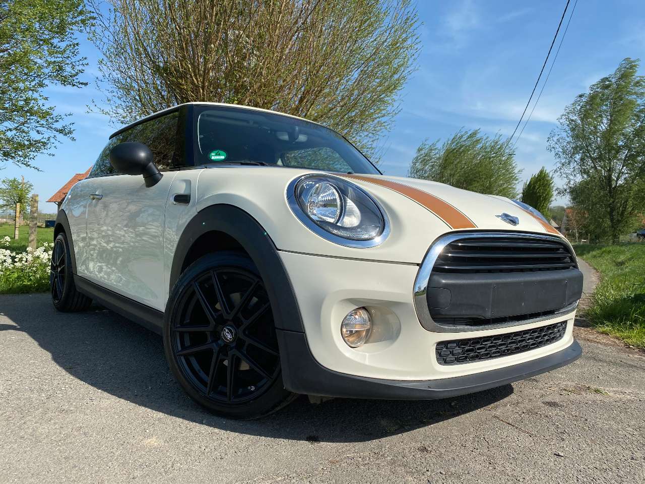 Leconte - MINI One